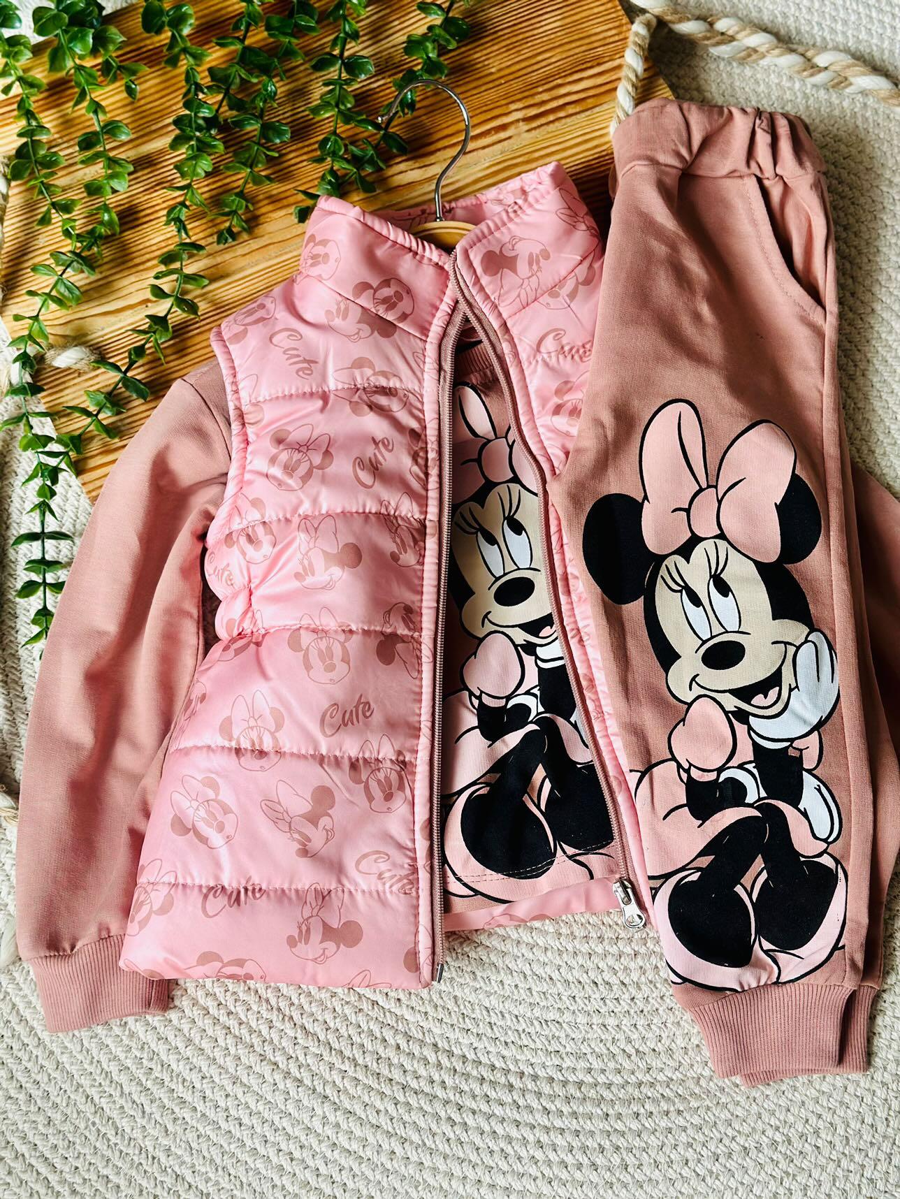 IMG_20241112_205317_648